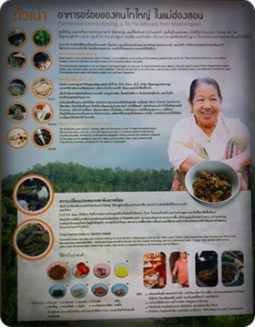 ถั่วเน่าซาคั่ว